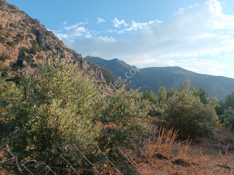Kayadibi Satılık Arsa( Saklıkent Kanyonu Yanı) — fotoğraf 7
