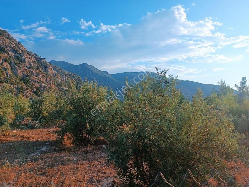 Kayadibi Satılık Arsa( Saklıkent Kanyonu Yanı) — fotoğraf 8