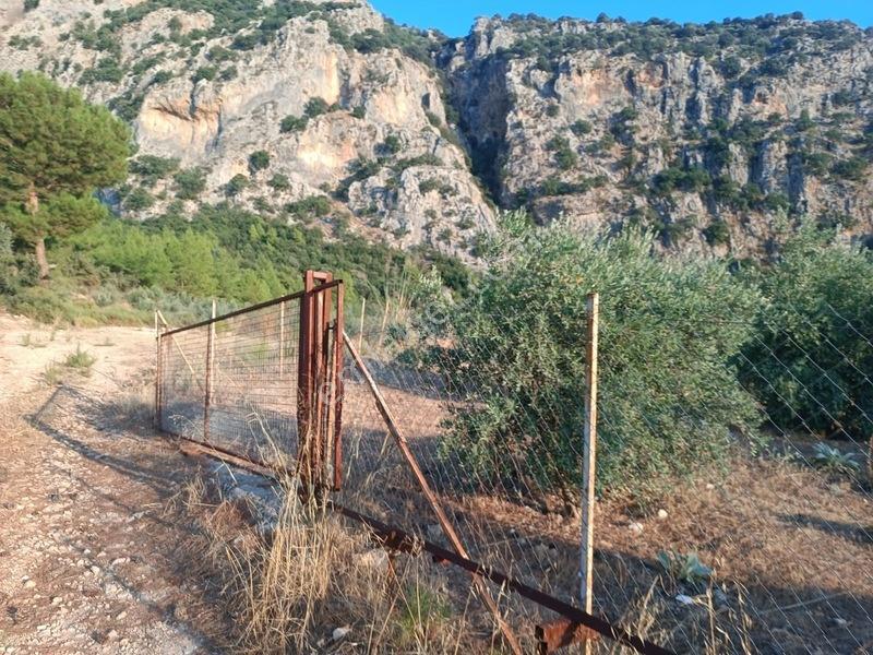 Kayadibi Satılık Arsa( Saklıkent Kanyonu Yanı) — fotoğraf 9