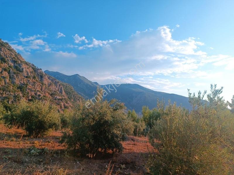 Kayadibi Satılık Arsa( Saklıkent Kanyonu Yanı) — fotoğraf 10