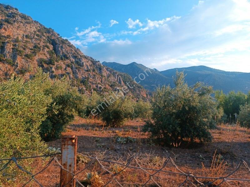 Kayadibi Satılık Arsa( Saklıkent Kanyonu Yanı) — fotoğraf 11