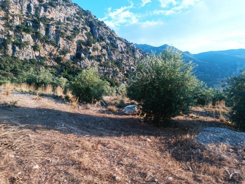 Kayadibi Satılık Arsa( Saklıkent Kanyonu Yanı) — fotoğraf 12