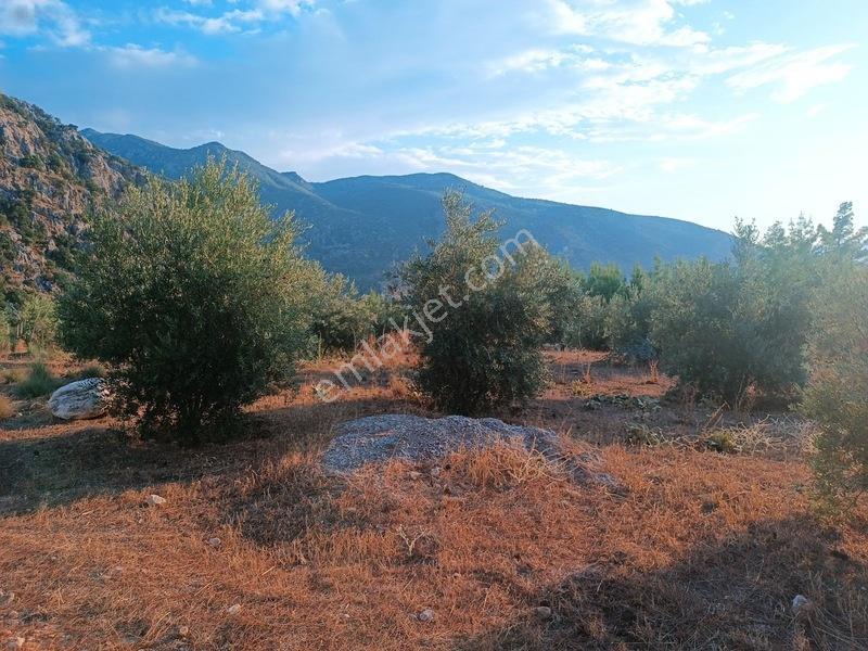 Kayadibi Satılık Arsa( Saklıkent Kanyonu Yanı) — fotoğraf 13