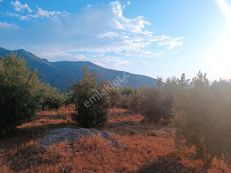 Kayadibi Satılık Arsa( Saklıkent Kanyonu Yanı) — fotoğraf 14