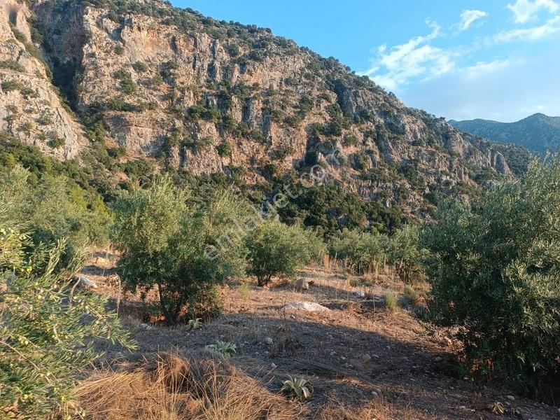 Kayadibi Satılık Arsa( Saklıkent Kanyonu Yanı) — fotoğraf 16
