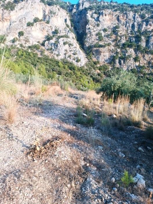 Kayadibi Satılık Arsa( Saklıkent Kanyonu Yanı) — fotoğraf 17