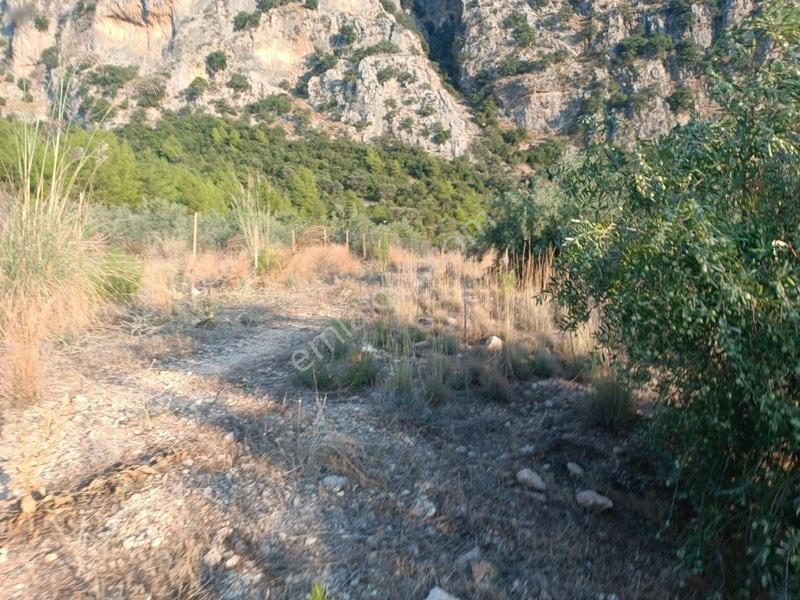 Kayadibi Satılık Arsa( Saklıkent Kanyonu Yanı) — fotoğraf 18