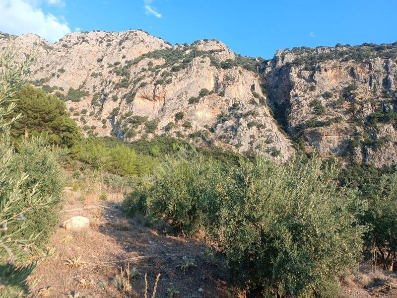 Kayadibi Satılık Arsa( Saklıkent Kanyonu Yanı) — fotoğraf 20