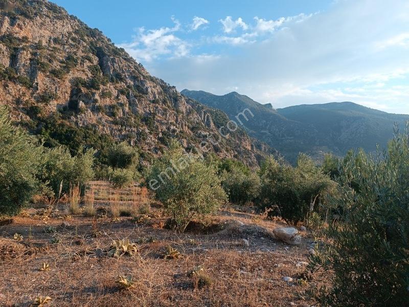 Kayadibi Satılık Arsa( Saklıkent Kanyonu Yanı) — fotoğraf 21
