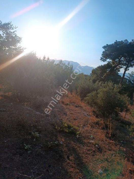 Kayadibi Satılık Arsa( Saklıkent Kanyonu Yanı) — fotoğraf 24