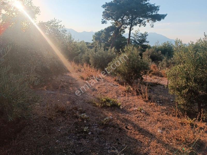 Kayadibi Satılık Arsa( Saklıkent Kanyonu Yanı) — fotoğraf 25