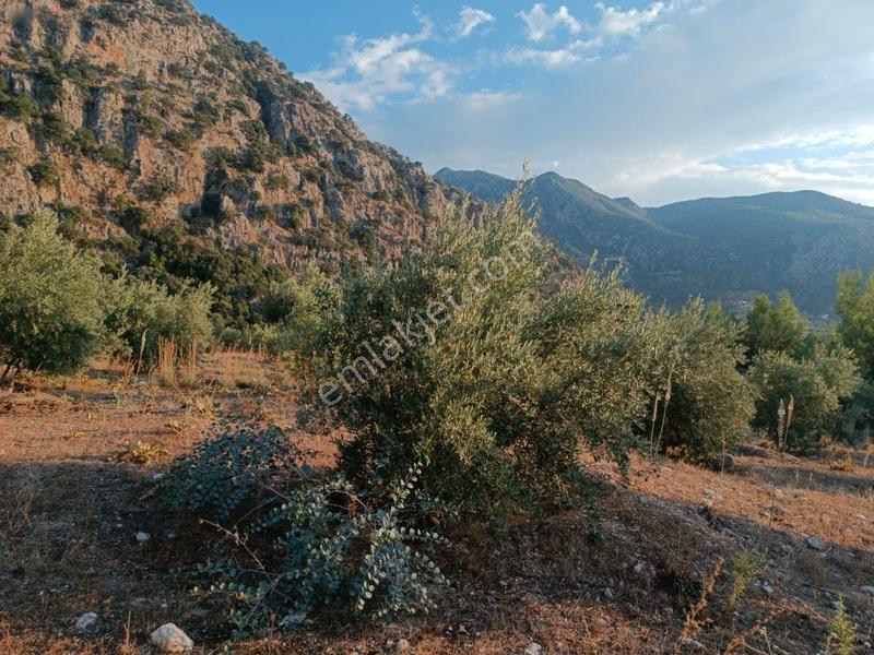 Kayadibi Satılık Arsa( Saklıkent Kanyonu Yanı) — fotoğraf 28