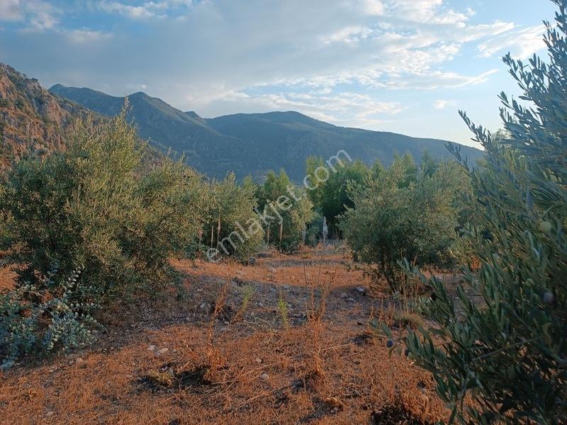 Kayadibi Satılık Arsa( Saklıkent Kanyonu Yanı) — fotoğraf 29