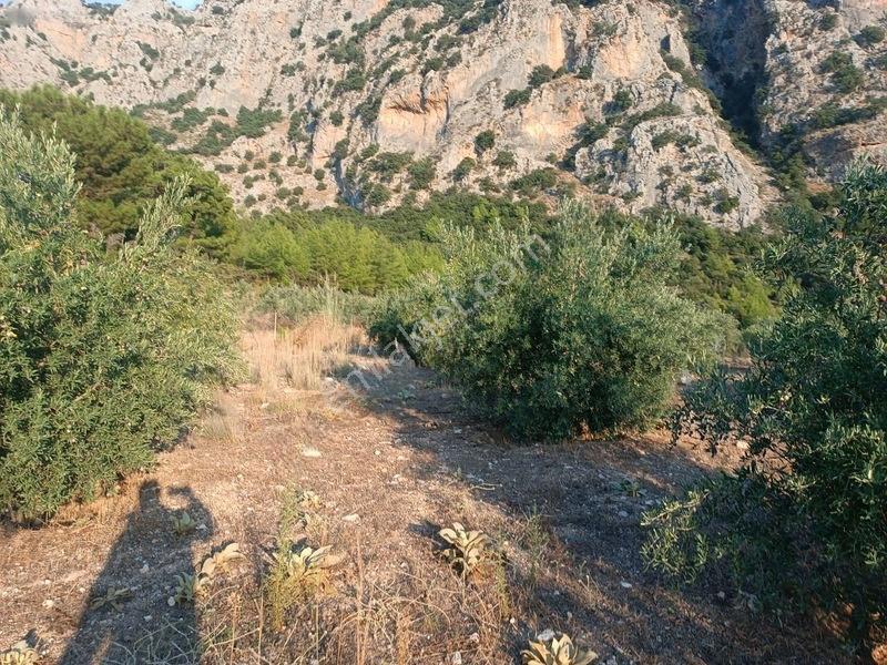 Kayadibi Satılık Arsa( Saklıkent Kanyonu Yanı) — fotoğraf 30