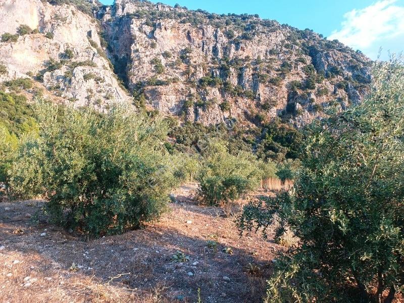 Kayadibi Satılık Arsa( Saklıkent Kanyonu Yanı) — fotoğraf 31
