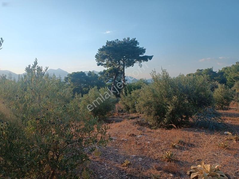 Kayadibi Satılık Arsa( Saklıkent Kanyonu Yanı) — fotoğraf 32