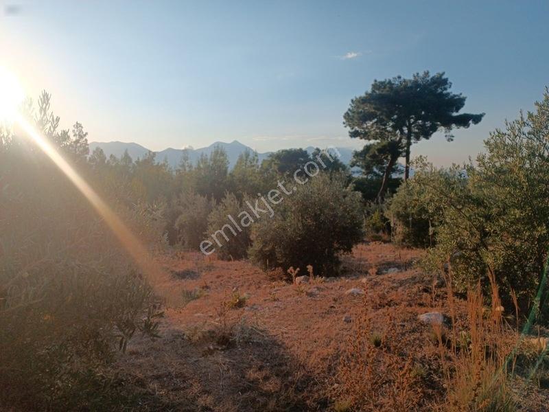 Kayadibi Satılık Arsa( Saklıkent Kanyonu Yanı) — fotoğraf 33