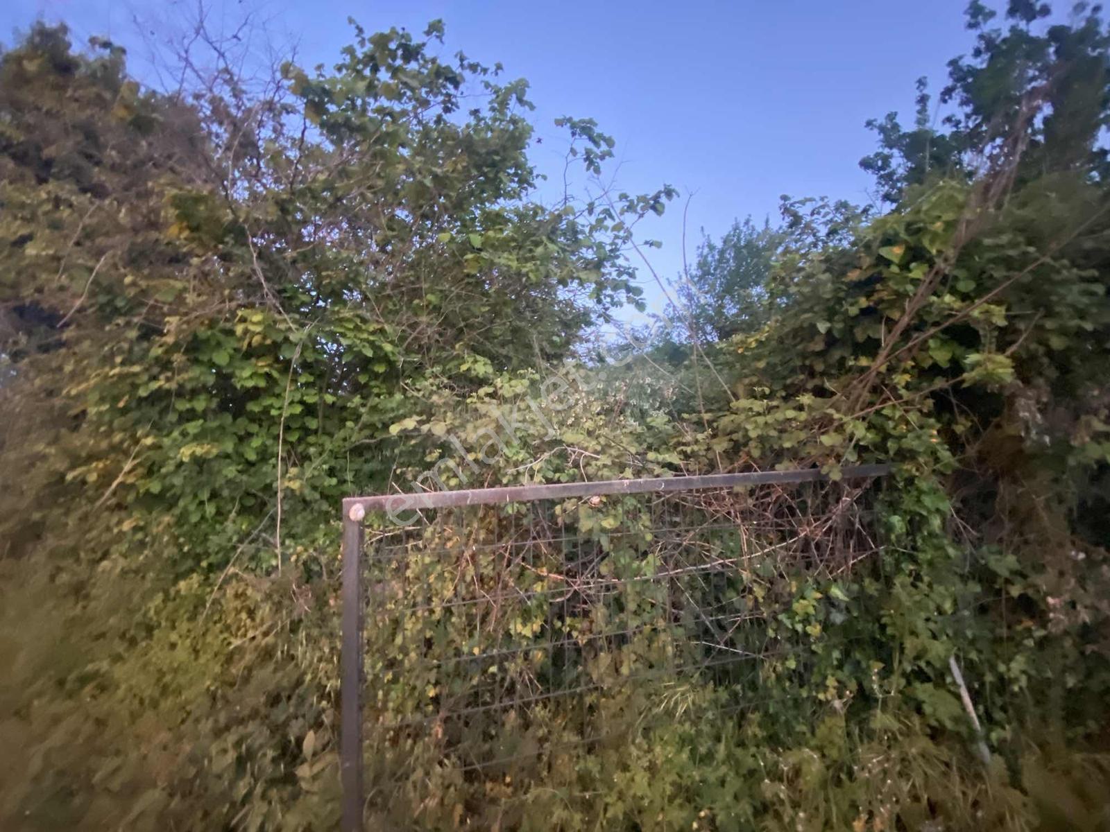 Karapınar`da Deniz Manzaralı Önü Kapanmaz 572 M2 Satılık Arsa. — fotoğraf 11