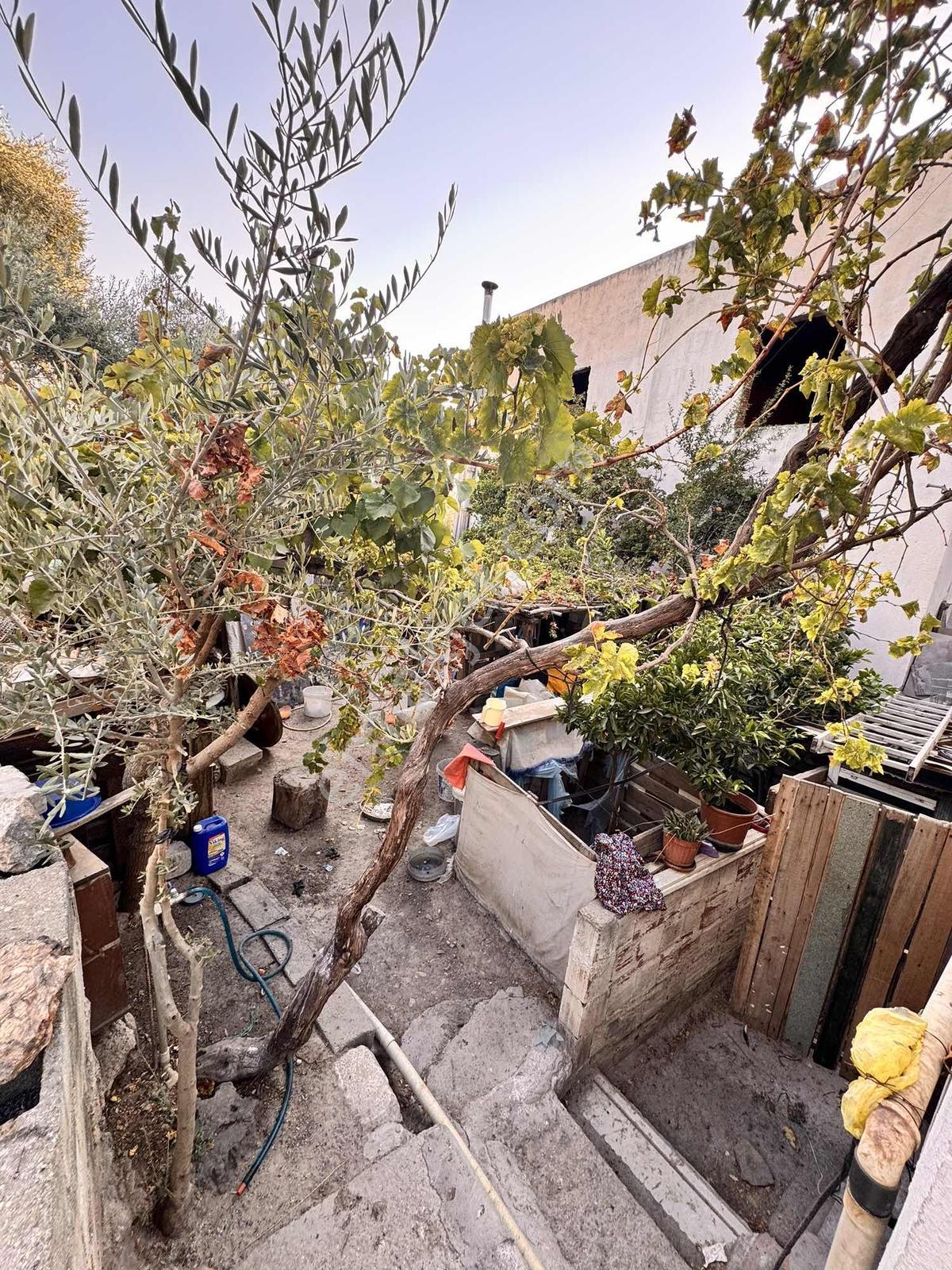 Muğla Mılas Kırcağız Mahallesı'nde Köy Evı — fotoğraf 24