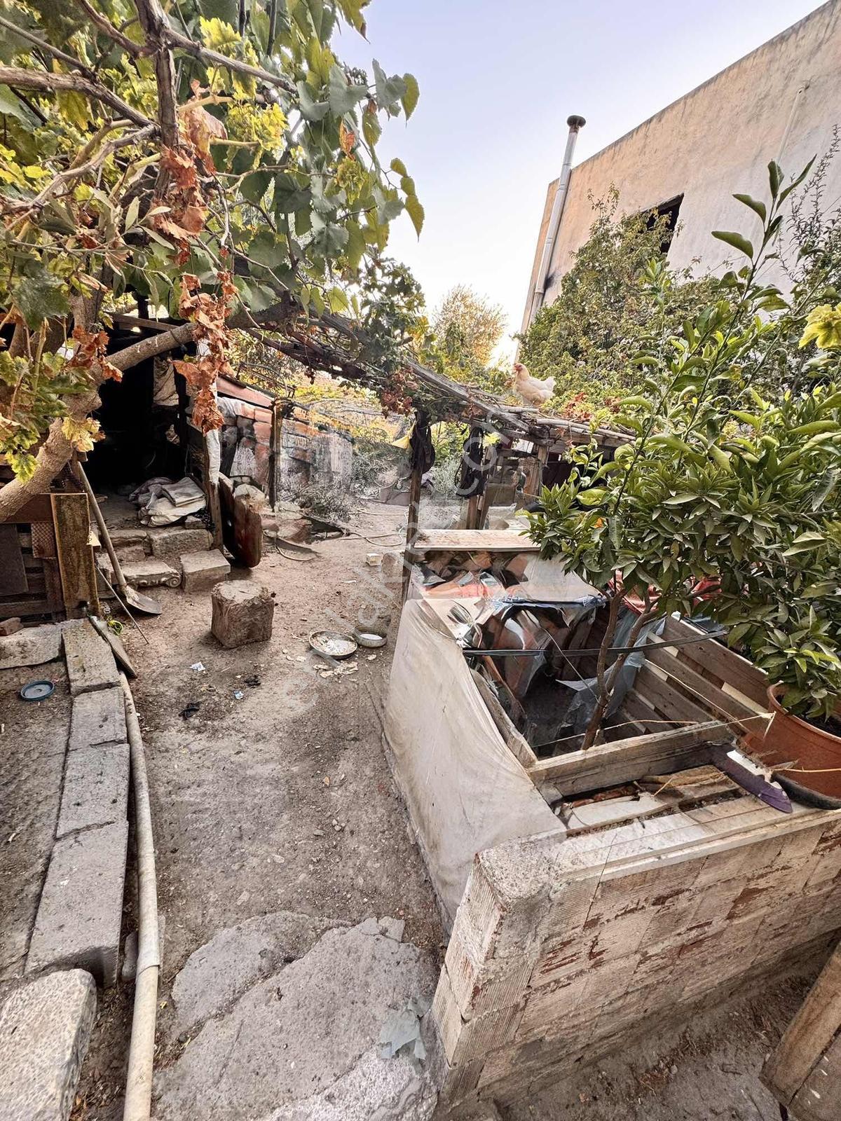 Muğla Mılas Kırcağız Mahallesı'nde Köy Evı — fotoğraf 25