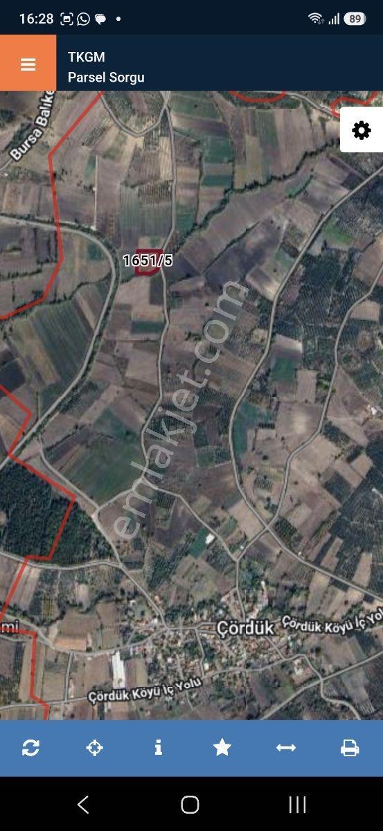 Mustafakemalpaşa Çördük Yollu Sulu Satılık Cevizli Bahçe Tarla — fotoğraf 17