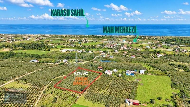 Harun Yılmaz İnşaat'tan Arsa Tadında Fındık Bahçesi Fırsatı — fotoğraf 4