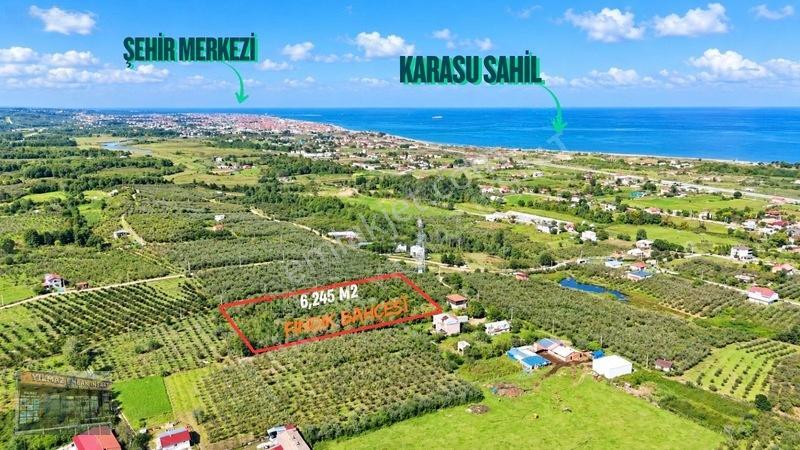 Harun Yılmaz İnşaat'tan Arsa Tadında Fındık Bahçesi Fırsatı — fotoğraf 5