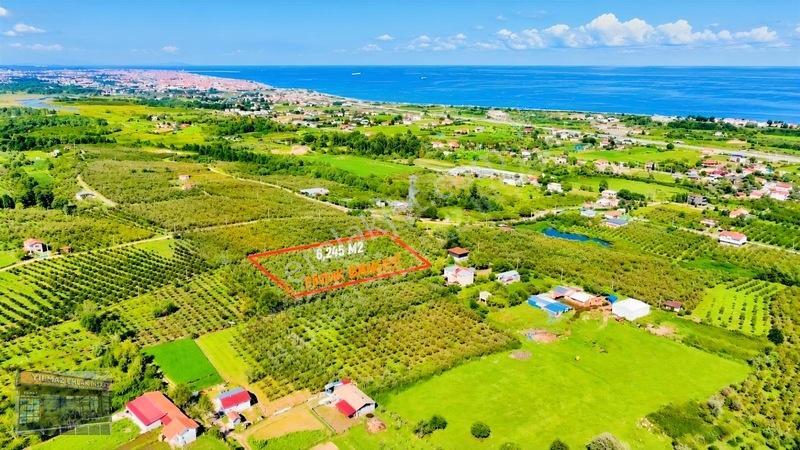 Harun Yılmaz İnşaat'tan Arsa Tadında Fındık Bahçesi Fırsatı — fotoğraf 8
