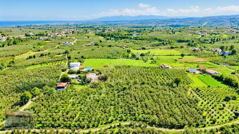 Harun Yılmaz İnşaat'tan Arsa Tadında Fındık Bahçesi Fırsatı — fotoğraf 9