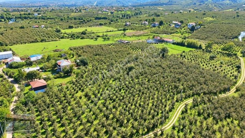 Harun Yılmaz İnşaat'tan Arsa Tadında Fındık Bahçesi Fırsatı — fotoğraf 10