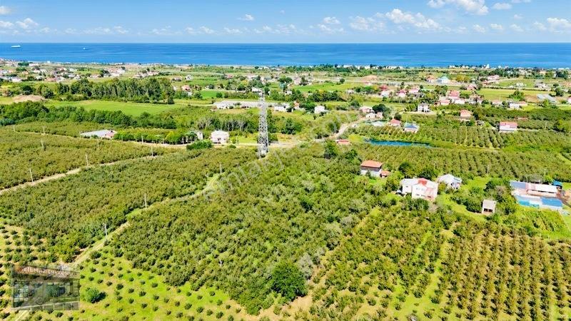 Harun Yılmaz İnşaat'tan Arsa Tadında Fındık Bahçesi Fırsatı — fotoğraf 11