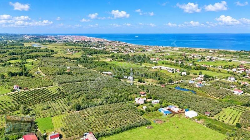 Harun Yılmaz İnşaat'tan Arsa Tadında Fındık Bahçesi Fırsatı — fotoğraf 15