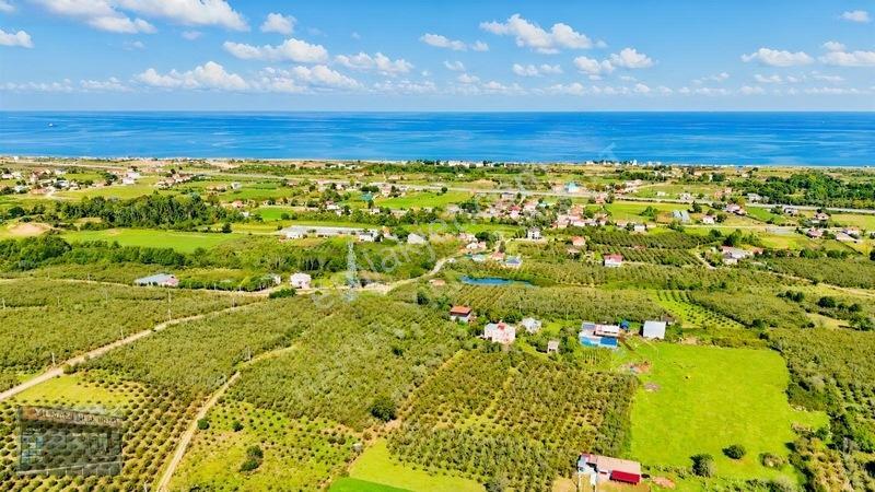 Harun Yılmaz İnşaat'tan Arsa Tadında Fındık Bahçesi Fırsatı — fotoğraf 17