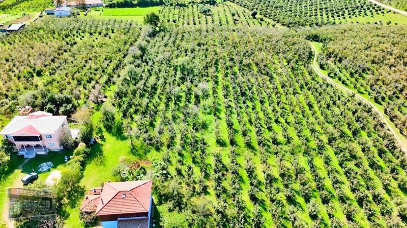 Harun Yılmaz İnşaat'tan Arsa Tadında Fındık Bahçesi Fırsatı — fotoğraf 20