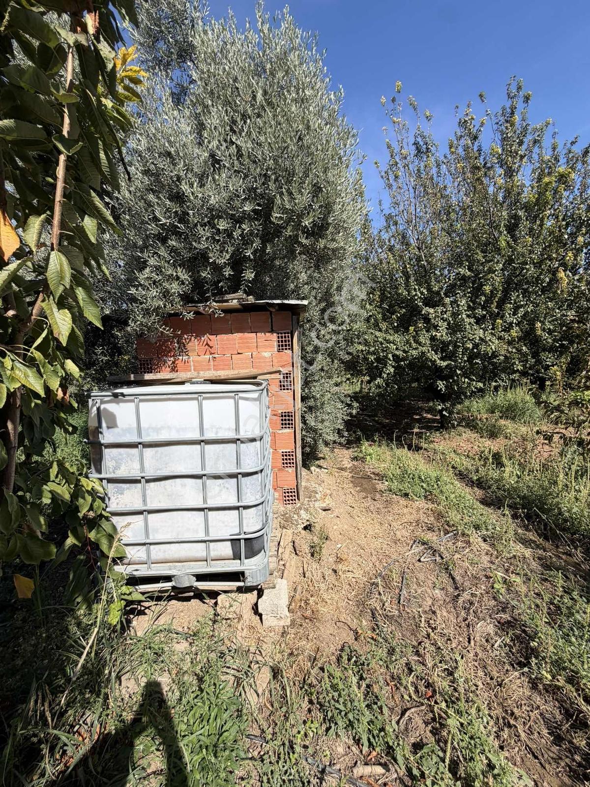 Yukarıkızılcada Yol Kenarı Hasat Geliri Yüksek Satılık Bahçe — fotoğraf 19
