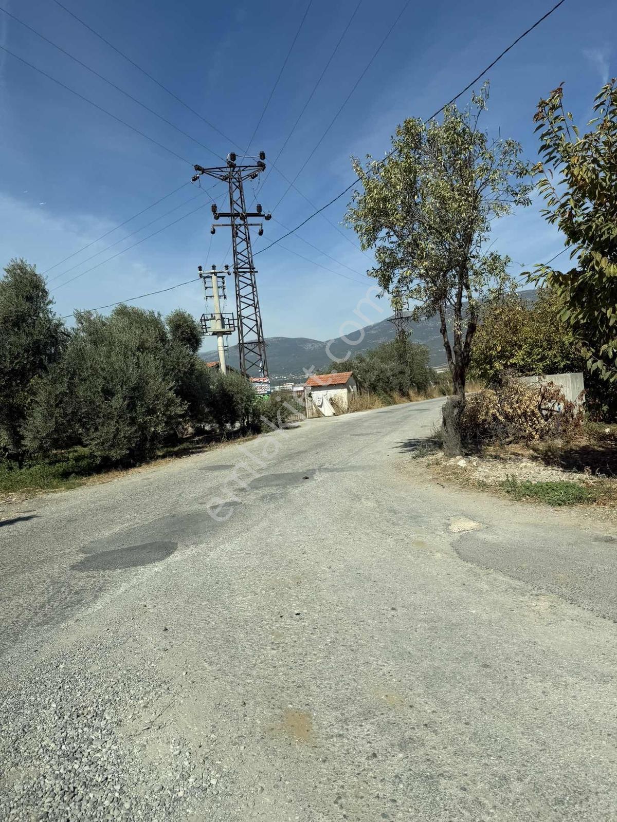 Yukarıkızılcada Yol Kenarı Hasat Geliri Yüksek Satılık Bahçe — fotoğraf 35