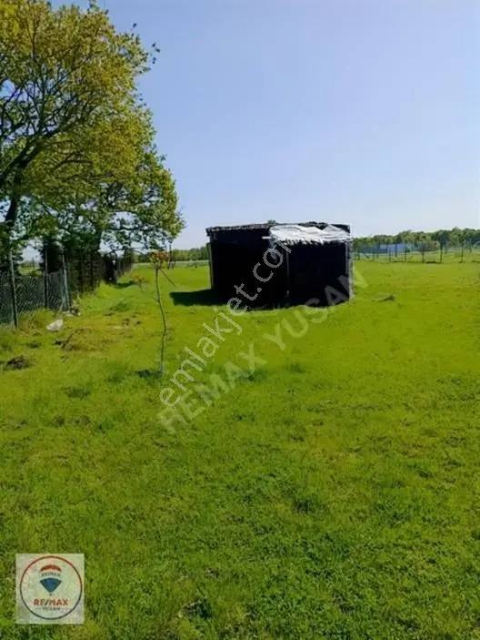 Çatalca Akalanda 1.349 M² Satılık Tarla Hissesi — fotoğraf 2