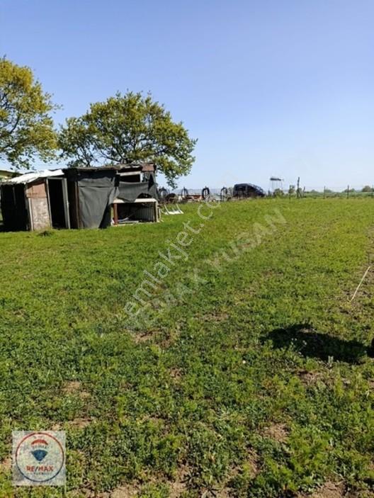 Çatalca Akalanda 1.349 M² Satılık Tarla Hissesi — fotoğraf 3