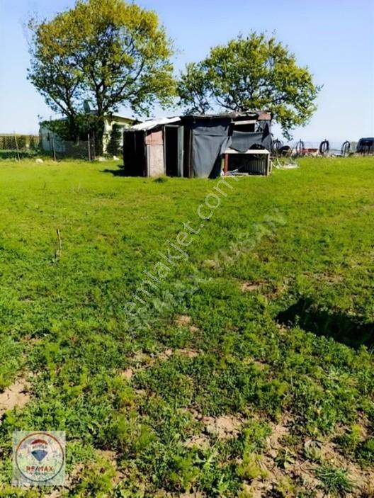 Çatalca Akalanda 1.349 M² Satılık Tarla Hissesi — fotoğraf 4