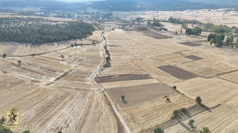2 Tapu 4.642 M²|havalimanı 14 Km|zafer Osb 20 Km|köye 700 M — fotoğraf 3