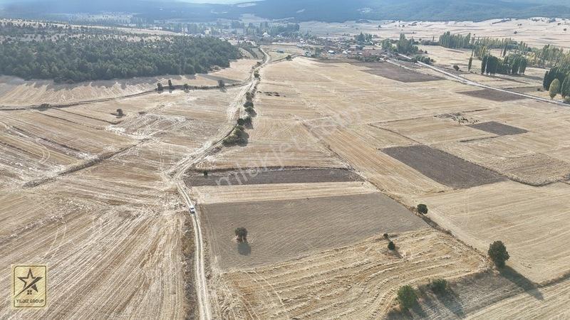 2 Tapu 4.642 M²|havalimanı 14 Km|zafer Osb 20 Km|köye 700 M — fotoğraf 4