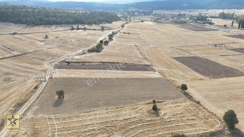 2 Tapu 4.642 M²|havalimanı 14 Km|zafer Osb 20 Km|köye 700 M — fotoğraf 5