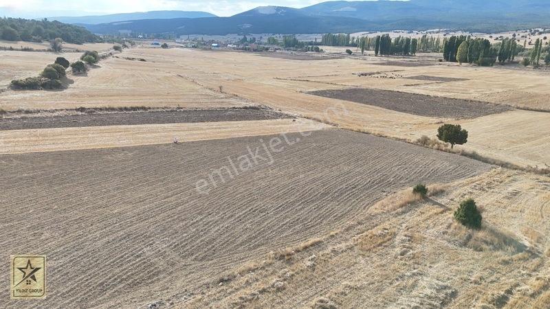 2 Tapu 4.642 M²|havalimanı 14 Km|zafer Osb 20 Km|köye 700 M — fotoğraf 9