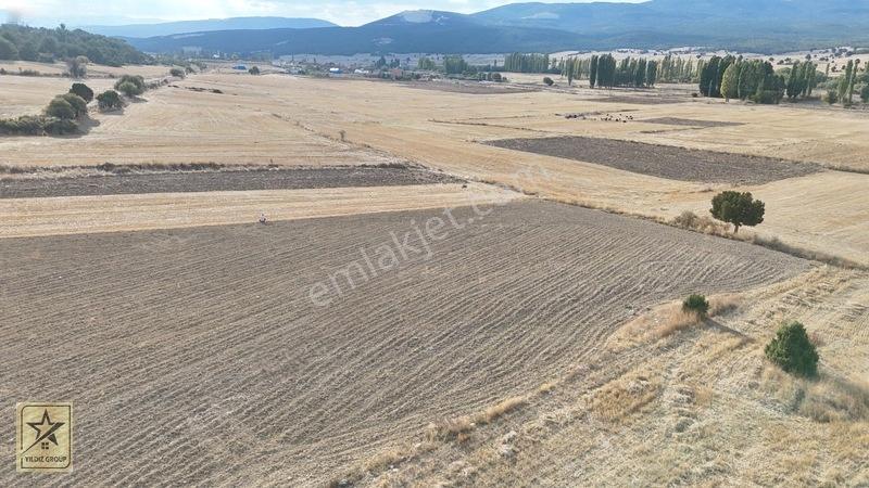 2 Tapu 4.642 M²|havalimanı 14 Km|zafer Osb 20 Km|köye 700 M — fotoğraf 10