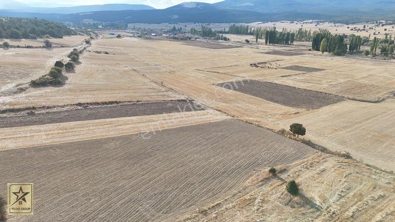 2 Tapu 4.642 M²|havalimanı 14 Km|zafer Osb 20 Km|köye 700 M — fotoğraf 11