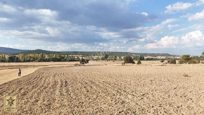2 Tapu 4.642 M²|havalimanı 14 Km|zafer Osb 20 Km|köye 700 M — fotoğraf 12