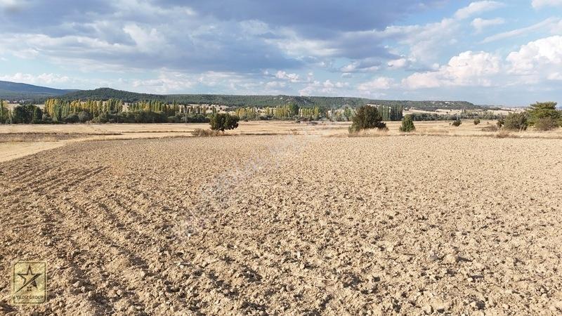 2 Tapu 4.642 M²|havalimanı 14 Km|zafer Osb 20 Km|köye 700 M — fotoğraf 13