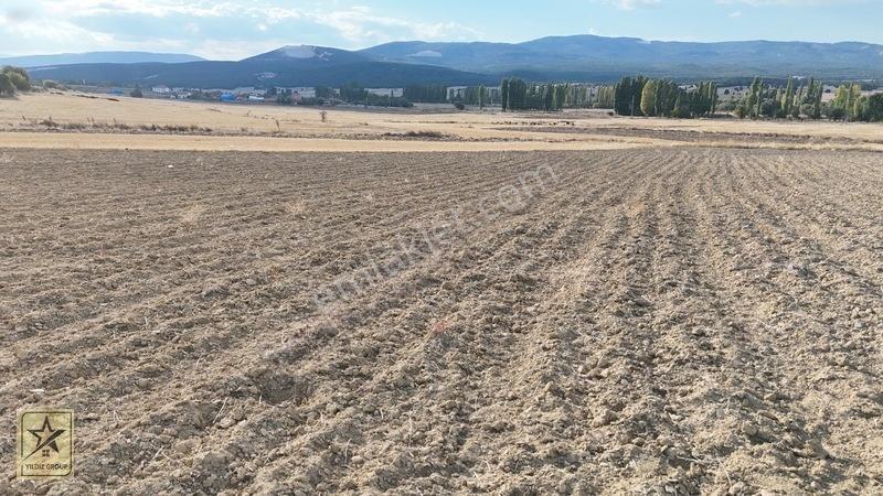 2 Tapu 4.642 M²|havalimanı 14 Km|zafer Osb 20 Km|köye 700 M — fotoğraf 14