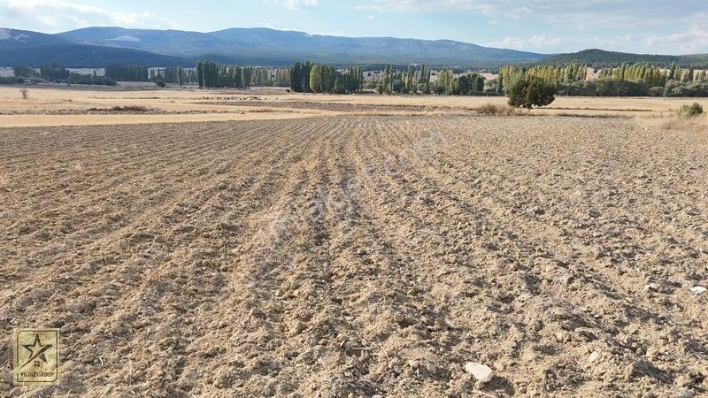 2 Tapu 4.642 M²|havalimanı 14 Km|zafer Osb 20 Km|köye 700 M — fotoğraf 15