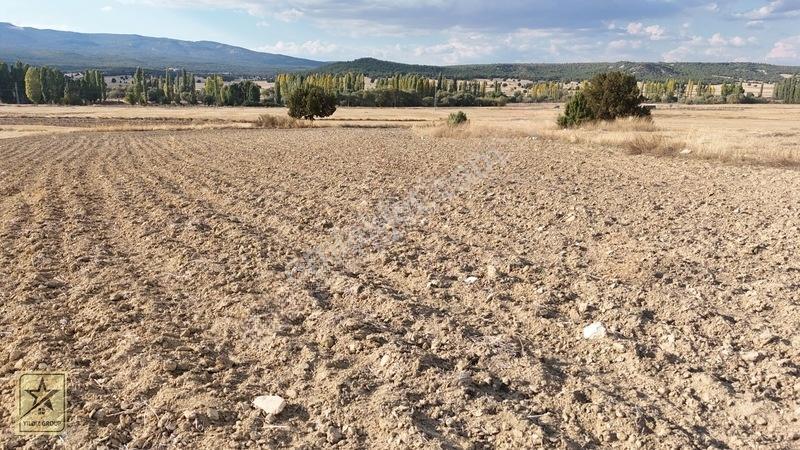 2 Tapu 4.642 M²|havalimanı 14 Km|zafer Osb 20 Km|köye 700 M — fotoğraf 16